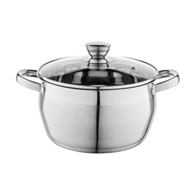 FLORINA Cacerola de Acero Inoxidable (4,8 l) 22 cm I Ollas Cocina con Tapa de Cristal OLIVER I Apto para Lavavajillas I Olla para Pasta, Sopas I Ideal para Todo Tipo de Cocinas, Incluyendo Inducción