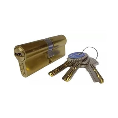 Tesa Assa Abloy, T6353030L, Cilindro de Seguridad, T60, Leva Larga, Llave - Llave, Latonado, 30 x 30 mm