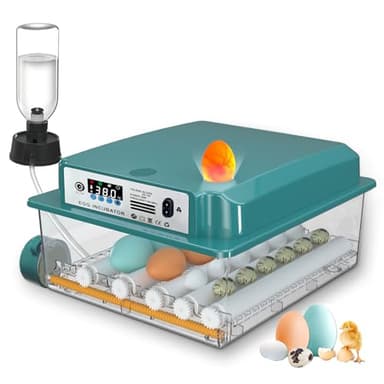 CoInceptus Incubadora Huevos Gallina, Incubadora de 12-16 Huevos con Volteo Automático de Huevos y Adición Automática de Agua, Incubadoras para Huevos de Gallina, Codorniz, Pato