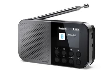 SHARP DR-P520(GY) Osaka Pocket Digital Radio, Dab+, Dab and FM with RDS, BT 5.3, 2" Color Display, USB-C Power or Built-in Lithium Battery, Built-in Speaker, Mini Jack, Key Lock