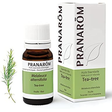 PRANARÔM Aceite Esencial Árbol del Té (Tea Tree) – Defensas Naturales – Aceite Esencial Quimiotipado HECT – 100% Puro y Natural – 10 ml