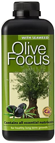 Fertilizante líquido concentrado Olive Focus de 1 litro