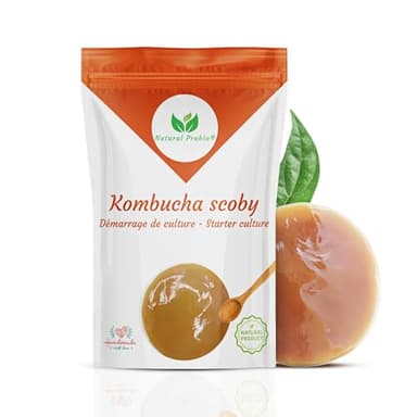 Natural Probio® Original Kombucha Scoby - Kit de inicio de cultivo - Auténtica cepa madre de Kombucha + instrucciones completas, receta y consejos
