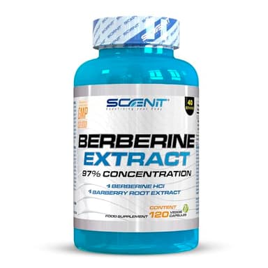 Berberina 1500 mg pura - 97% de concentración - 120 cápsulas veganas - Berberine extract - Berberine Hcl - Berberina pura - Berberina 97%