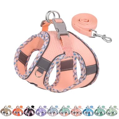 AIITLE Arnés y Correa para Perros para pasear, arnés para Cachorros, Suministros Suaves y Transpirables para Mascotas, para Perros Extra pequeños y Gatos domésticos, Rosa XXXS
