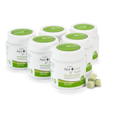 ApaCare Goma de mascar anticaries con minerales de esmalte y xilitol | 6 latas