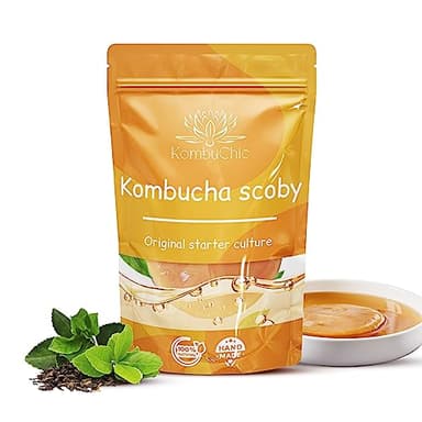 Kombucha scoby - Kit de inicio + consejos de preparación, guía de receta básica