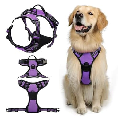 DKDDSSS Arnes Perro Arnés Pecho Antitirones Ajustable, Chaleco Acolchado Transpirable con Cinta Reflectante, Grande