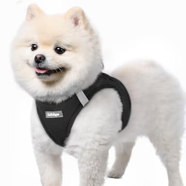 rabbitgoo Arnes Perro Pequeño Negro S, Arnés Antitirones para Perros Ajustable Fácil de Poner, Arnes Cachorro de Malla Suave Transpirable, Chaleco Reflectante para Perro Pequeño y Mediano