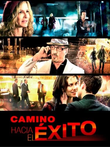 Camino hacia el éxito