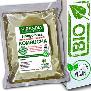 BEBÉ KOMBUCHA FRESCO, SCOBY KOMBUCHA - Con Registro Sanitario (RGSEAA) - Elabora Tu Propio Té de Kombucha Biológico en Casa