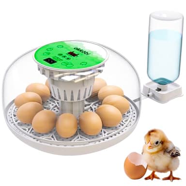 Okkobi M12 - Incubadora Huevos Gallina Automática - Volteo Automático y Control de Humedad - Chocadeira Ovos Automática - 12/24 huevos, Vista 360°, fácil de usar y limpiar - Blanco y verde