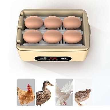 Incubadora automática de 6 huevos para la eclosión de aves con control automático de temperatura de volteo para la exploración experimental de huevos de gallina y pato (1 unidad)