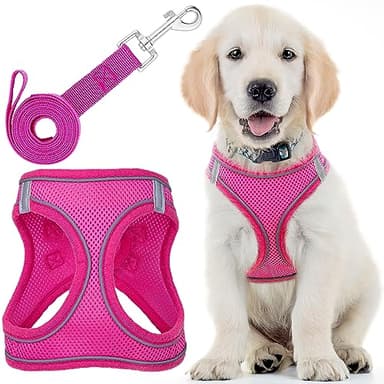 Arnés para perro + correa - Pequeño, rosa - Arnés para mascotas con acolchado suave y diseño antitirones + tiras reflectantes para perros pequeños - por EcoEarth