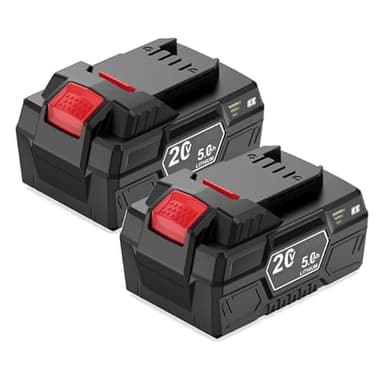 2X 20V 5Ah Batería de Repuesto para Parkside Pap 20 B1 B3 A1, Compatible con Todos los Equipos de la Serie Parkside X 20V Team